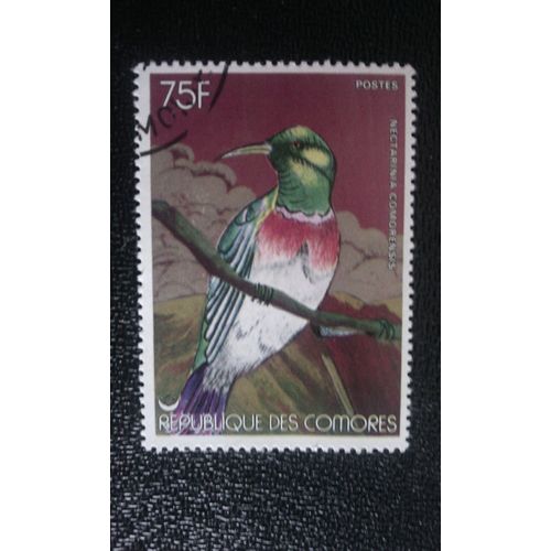 Timbre Comores ( Yt 199 ) 1978 Souimanga D'anjouan (Nectarinia Comorensis)