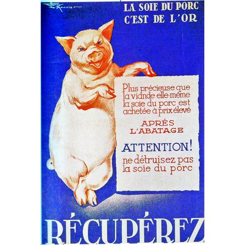 Ww2 - Photo - Affiche De Vichy - Récupération De La Soie De Porc