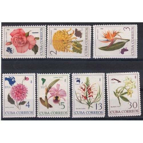 Fleurs Cultivées