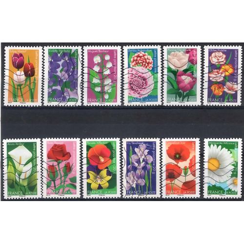 Fleurs Cultivées