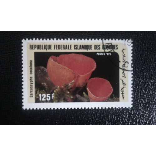 Timbre Comores ( Mi 763 ) 1985 Séries: Champignons Sarcoscypha Coccinea