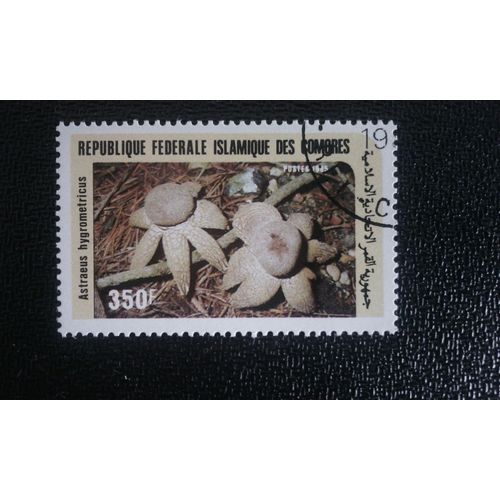 Timbre Comores ( Mi 765 ) 1985 Séries: Champignons Astraeus Hygrometricus