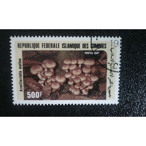 Timbre Comores ( Mi 766 ) 1985 Séries: Champignons Armillariella Mellea