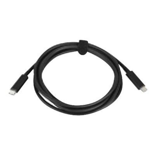 Lenovo - Câble USB - 24 pin USB-C (M) pour 24 pin USB-C (M) - 20 V - 3 A - 2 m