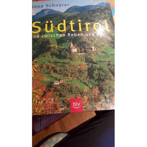 Sudtirol Land Zwischen Reben Und Fin