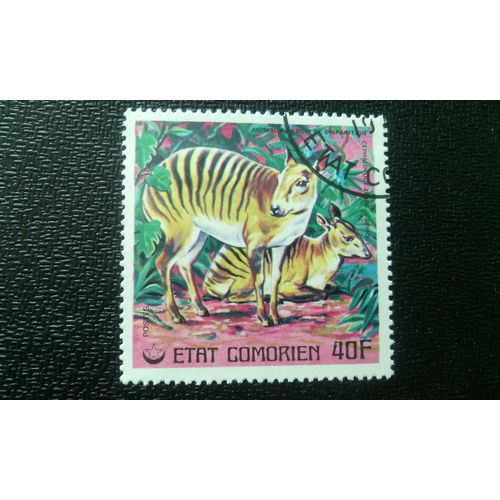 Timbre Comores ( Yt 177 ) 1977 Zebra Duiker (Cephalopus Zebra)