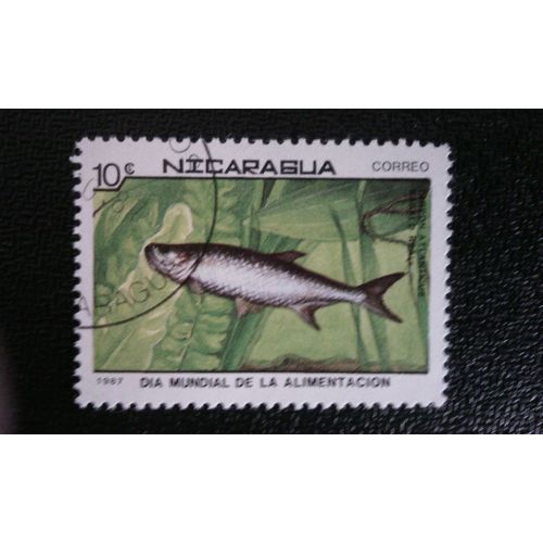 Timbre Nicaragua ( Yt 1474 ) 1987 Tarpon Atlantique (Tarpon Atlanticus)