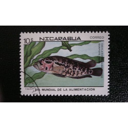 Timbre Nicaragua ( Yt 1475 ) 1987 Cichlidé De Jaguar (Cichlasoma Managuense)