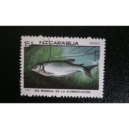 Timbre Nicaragua ( Yt Pa 1205 ) 1987 Poisson Caverneux Aveugle (Astyanax Fasciatus