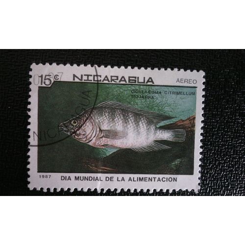 Timbre Nicaragua ( Yt Pa 1206 ) 1987 Cichlidé De Midas (Cichlasoma Citrimellum)