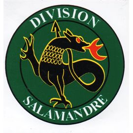 Bosnie Division Salamandre 1er - 2ème Régiment De Chasseurs Gtfr Arme Blindée Cavalerie