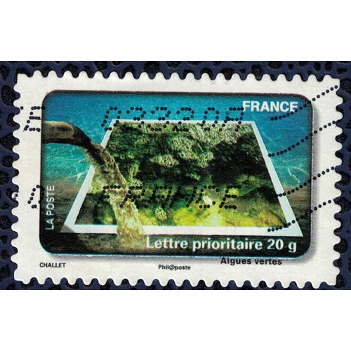 Timbre Oblitéré Used Stamp Fête Du Timbre 2010 Protégeons L¿Eau Algues Vertes Lettre Prioritaire 20g France 2010
