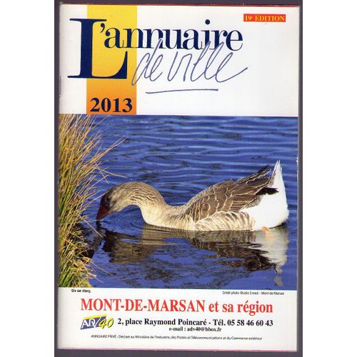 L'Annuaire De Ville. Mont-De-Marsan Et Sa Région - 2013 (19e Édition)