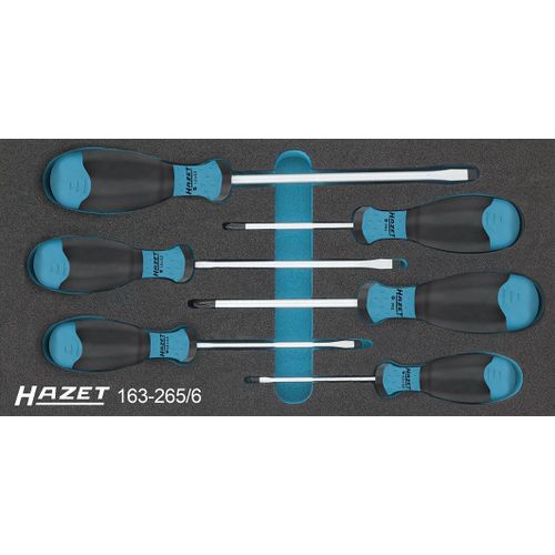 Hazet Jeu de tournevis - Profil Phillips PH, Profil à fente - Nombre d'outils: 6 - 163-265/6