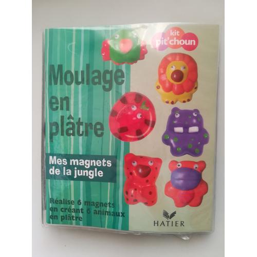 Moulage En Plâtre Mes Magnets De La Jungle