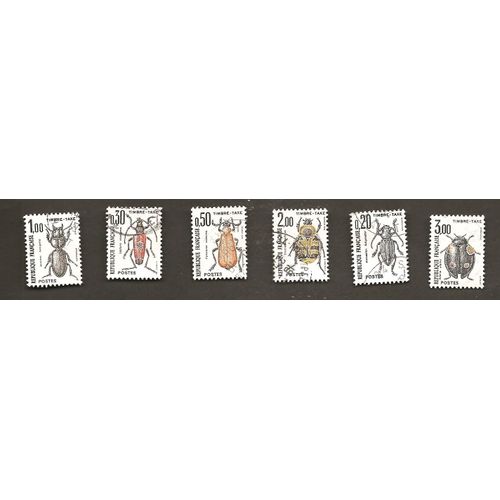 Insectes