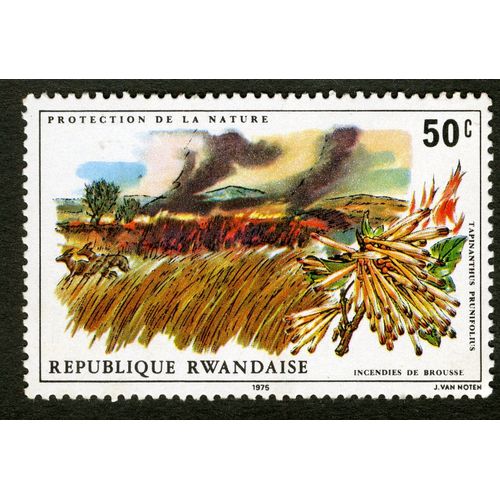 Timbre République Rwandaise, Incendies De Brousse, Tapinanthus Prunifolius, Protection De La Nature, 50 C
