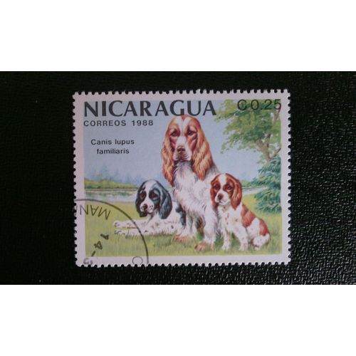 Timbre Nicaragua ( Yt 1506 ) 1988 Épagneul Cocker Américain (Canis Lupus Familiaris)