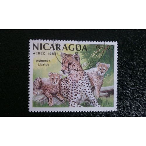 Timbre Nicaragua ( Yt Pa 1231 ) 1988 Guépard (Acinonyx Jubatus)