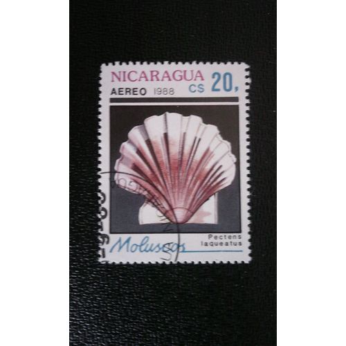 Timbre Nicaragua ( Yt Pa 1242 ) 1988 Pétoncles De Cuisson Japonais (Pecten Laqueatus)