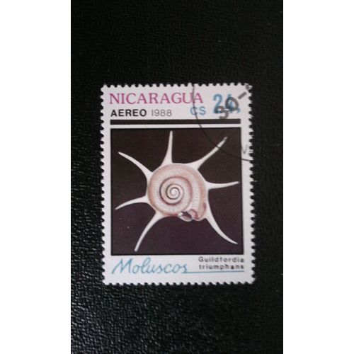 Timbre Nicaragua ( Yt Pa 1243 ) 1988 Turban Triomphal Star (Guildfordia Triumphans)