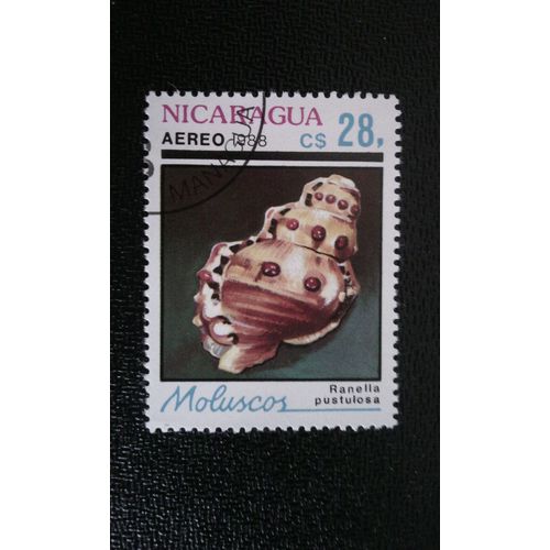 Timbre Nicaragua ( Yt Pa 1244 ) 1988 Gaudy Grenouille Shell (Ranella Pustulosa)