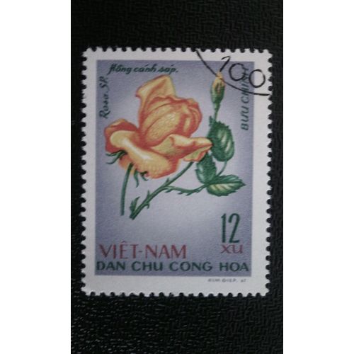 Timbre Vietnam Du Nord ( Yt 587 ) 1968 Rose Pourpre (Rosa Hybr-Rosaceae)
