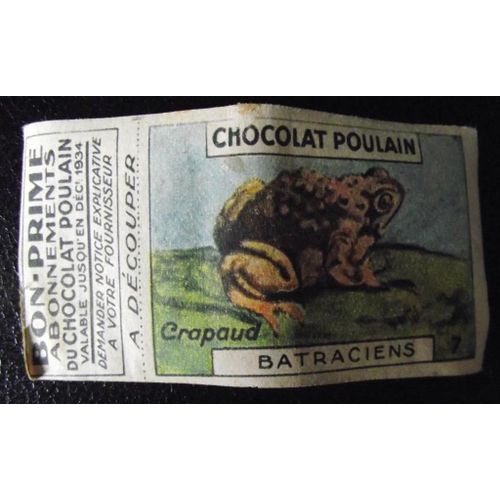 Chocolat Poulain Bon Prime.Série Batraciens (Crapaud)
