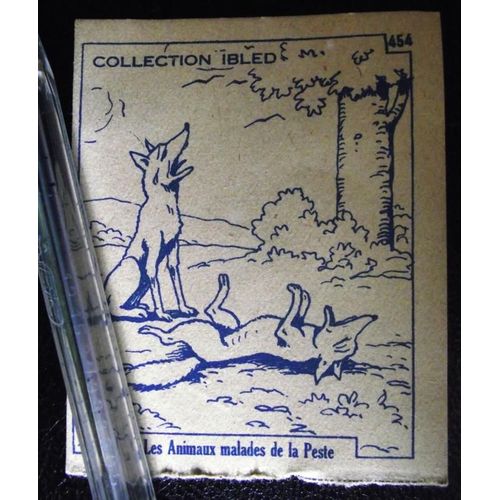 Image Collection Chocolat Ibled N°454 Les Animaux Malades De La Peste