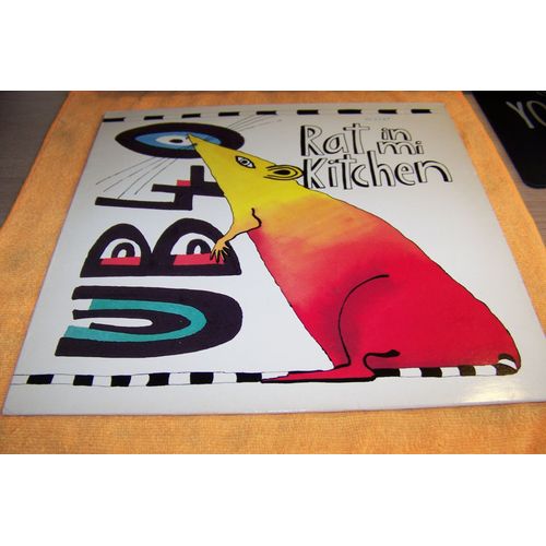 Rat In The Kitchen