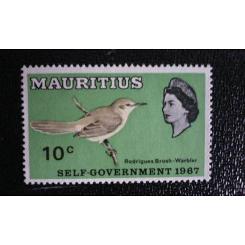 Timbre Ile Maurice ( Yt 293 ) 1967 Fauvette De Rodrigues (Acrocephalus Rodericanus)