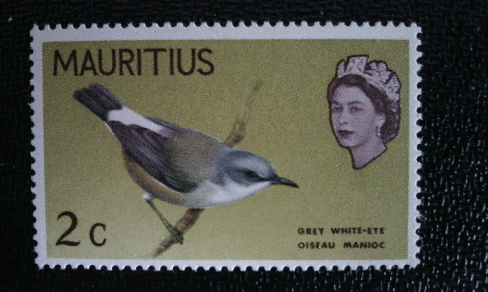 Timbre Ile Maurice ( Yt 266 ) 1965 Oeil Blanc Gris De L'île Maurice (Zosterops Mauritianus)