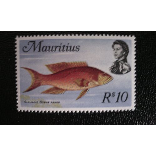 Timbre Ile Maurice ( Yt 346 ) 1969 Lyretail À Liséré Jaune (Serranus Flavimarginatus)
