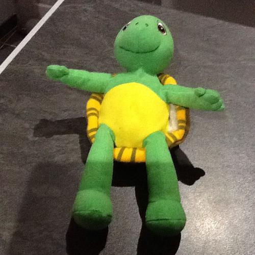 Peluche Tortue Verte Clementoni