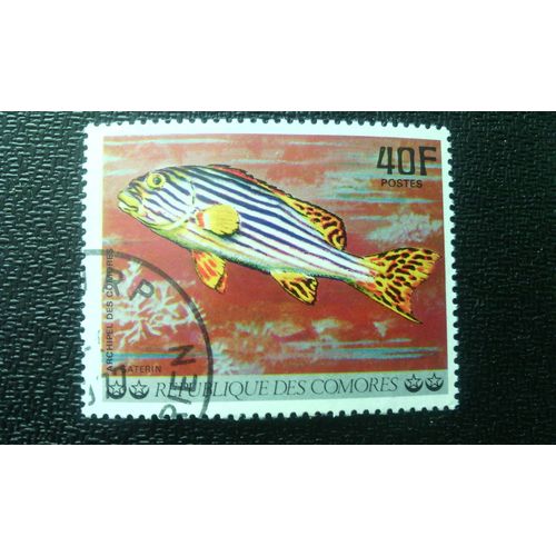 Timbre Comores ( Yt 192 ) 1977 Poisson De L'archipel Des Comores Orientales Douces Lèvres (Plectorhinchus Vittatus)