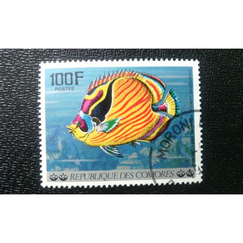 Timbre Comores ( Yt 194 ) 1977 Poisson De L'archipel Des Comoros Raton Laveur (Chaetodon Lunula)