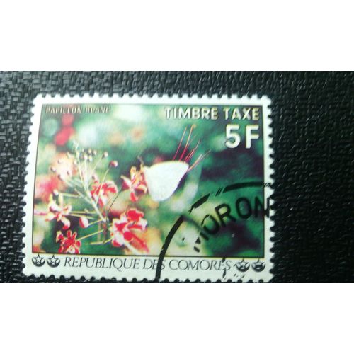 Timbre Comores ( Yt T8 ) 1977 Fleurs, Papillon Blanc (Pieris Sp.)