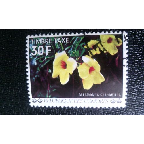 Timbre Comores ( Yt T13 ) 1977 Noix De Cajou