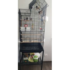 Cage Pour Oiseaux