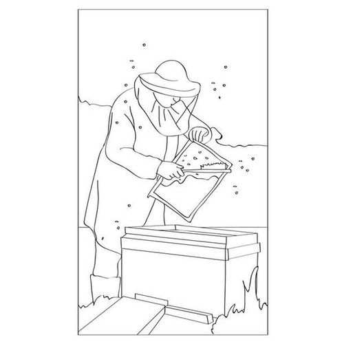 10 Cartes Aquarelles À Colorier - Ferme - Graine Créative