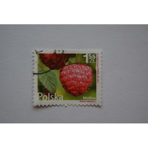 Timbre Malina Polska 1.55 Zl