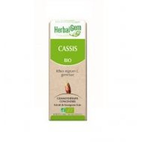 Cassis Bourgeon Bio - Flacon 15 Ml Herbalgem 