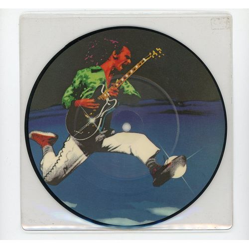 Paradise Skies . The Party . Picture Disc .