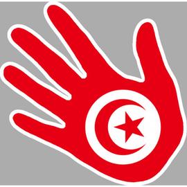 Drapeau Tunisien 30 x 45 cm AZ FLAG Guirlande 12 mètres 20 Drapeaux Tunisie 45x30 cm