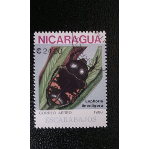Timbre Nicaragua ( Yt Pa 1260 ) 1988 Coléoptère (Gymnetosoma Stellata)