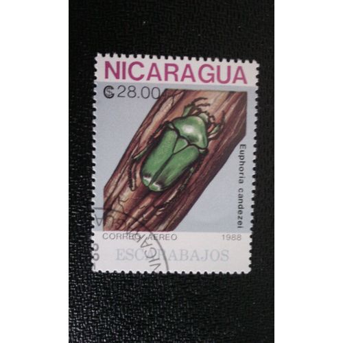 Timbre Nicaragua ( Yt Pa 1262 ) 1988 Scarabée      (Euphoria Candezei)