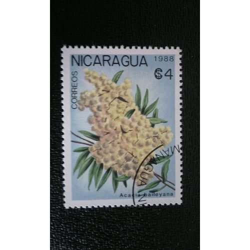 Timbre Nicaragua ( Yt 1513 ) 1988 Acacia Baileyana