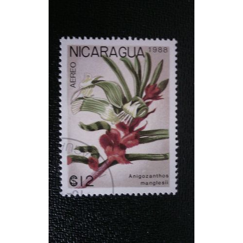 Timbre Nicaragua ( Yt Pa 1264 ) 1988 Anigozanthos Manglesii