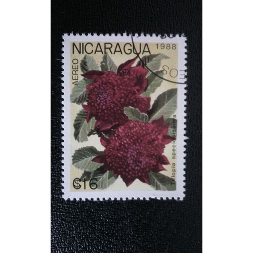 Timbre Nicaragua ( Yt Pa 1265 ) 1988 Telopea Speciosissima