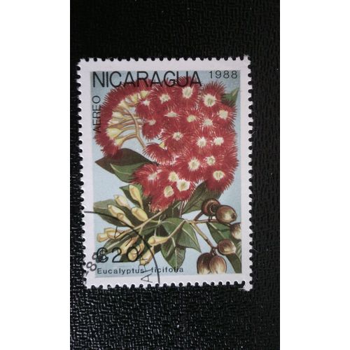Timbre Nicaragua ( Yt Pa 1266 ) 1988 Eucalyptus Ficifolia